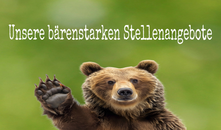 Unsere Stellenangebote